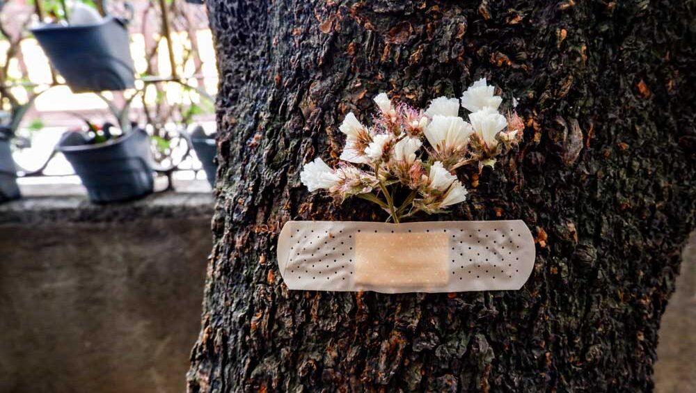 A resilient tree with a bandage and blooming white flowers growing from its bark, symbolizing healing, strength, and growth after hardship.