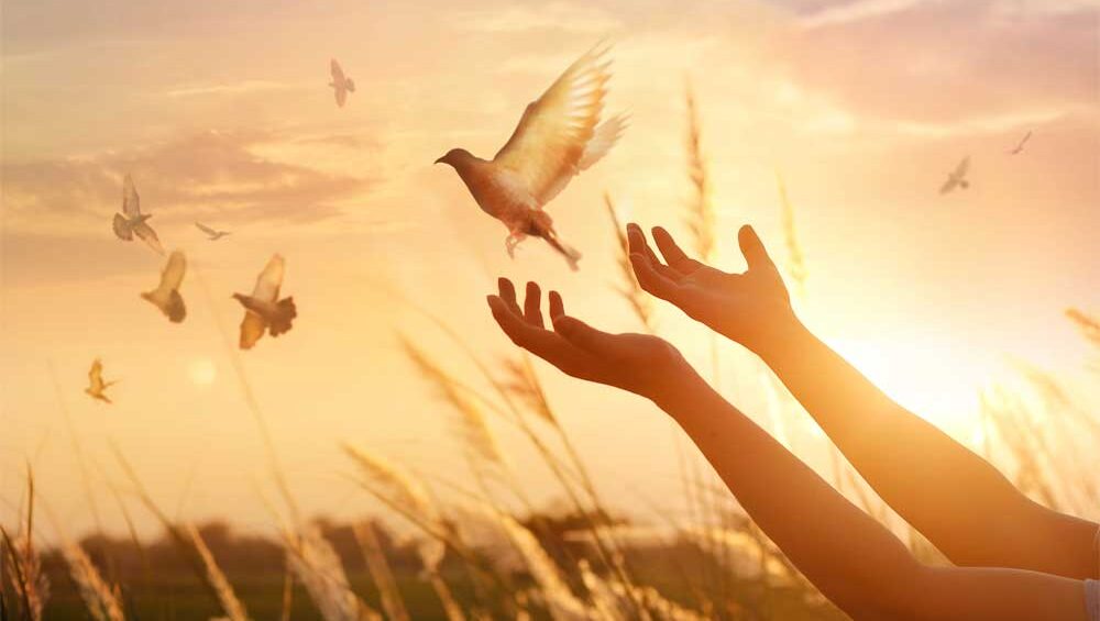 Hands releasing a bird into the sky at sunrise, symbolizing freedom and breaking free from emotional abuse.