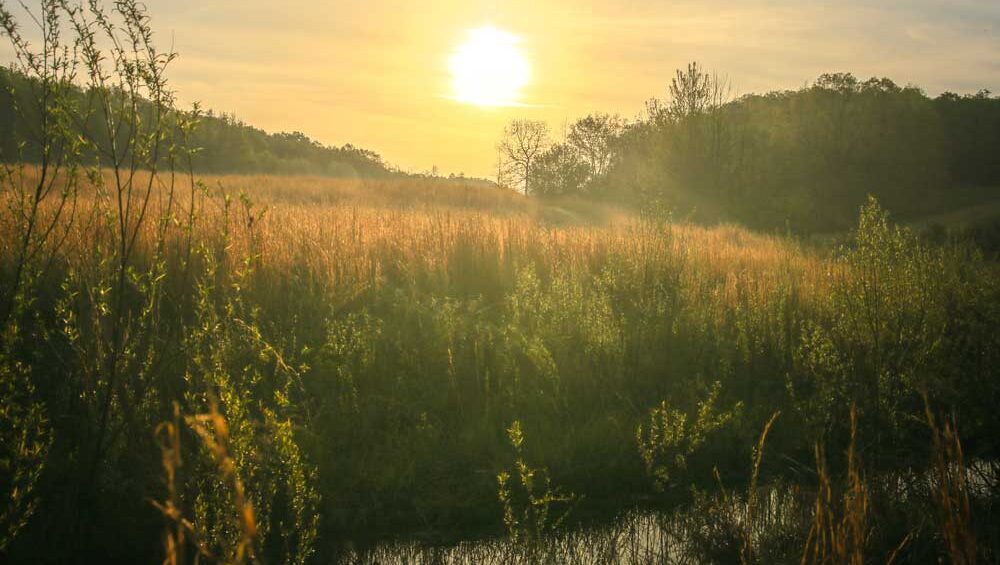 Golden summer sun setting over a quiet field and stream, symbolizing peace, renewal, and love returning on the Summer Solstice