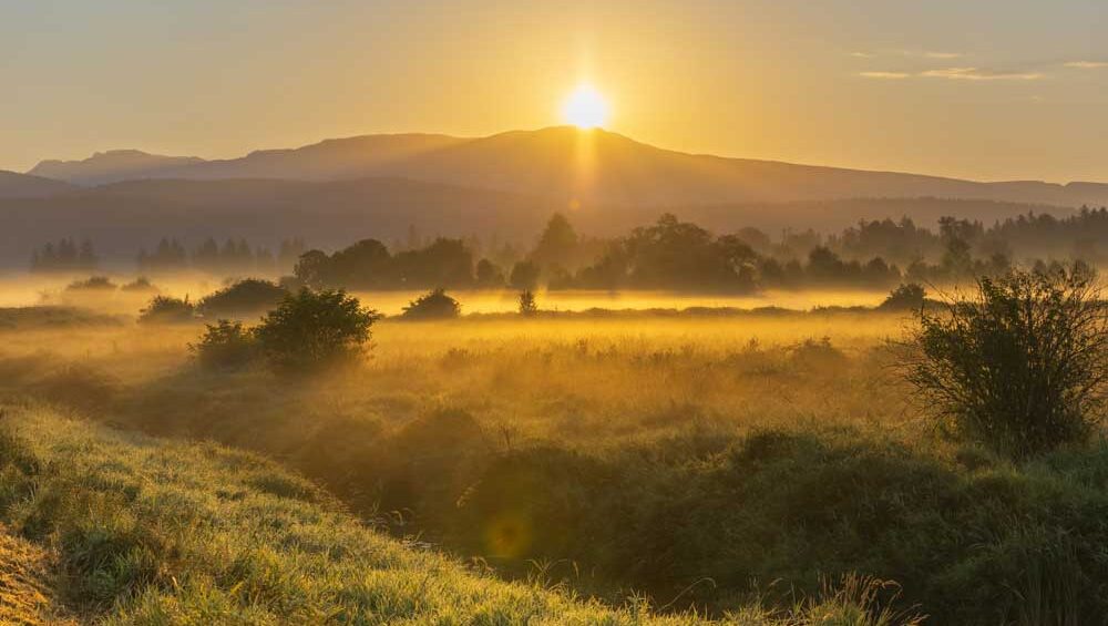 Golden sunrise over misty fields, symbolizing peaceful renewal and soul healing.