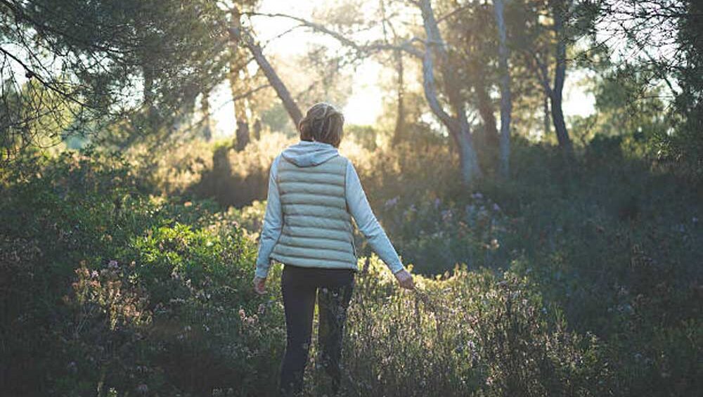 Woman walking in a sunlit forest, surrounded by nature and stillness