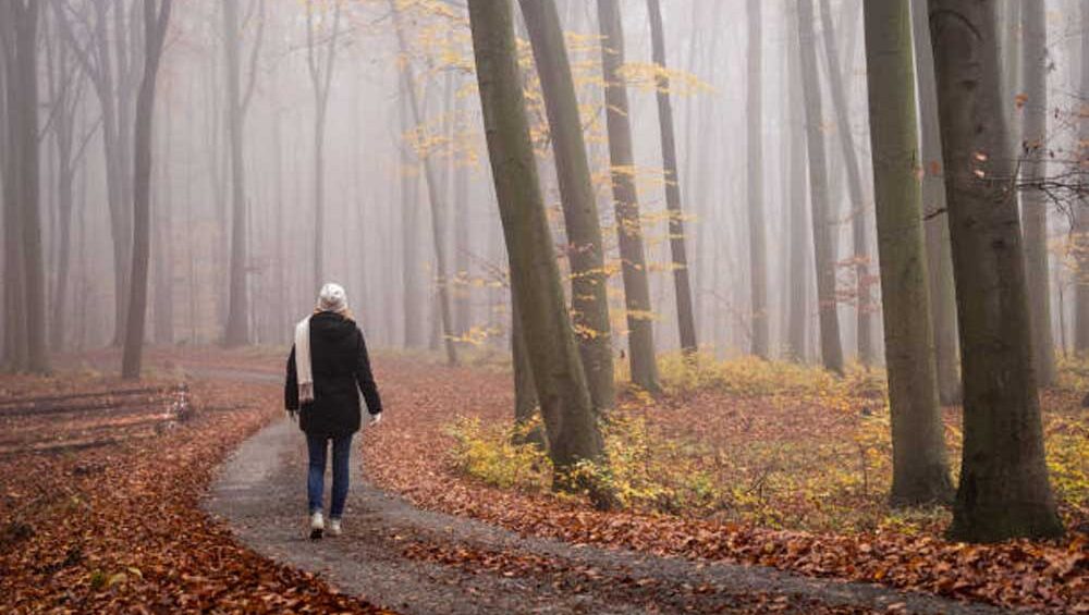 Woman walking alone through a misty autumn forest, symbolizing emotional growth, solitude, and the quiet courage of healing.