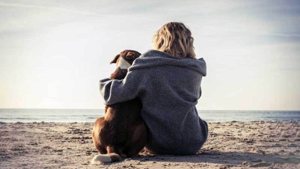 Woman sitting on the beach with her arm wrapped around a dog, looking out at the ocean.