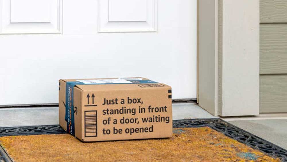 A cardboard package on a doormat in front of a white door, labeled “Just a box, standing in front of a door, waiting to be opened.”
