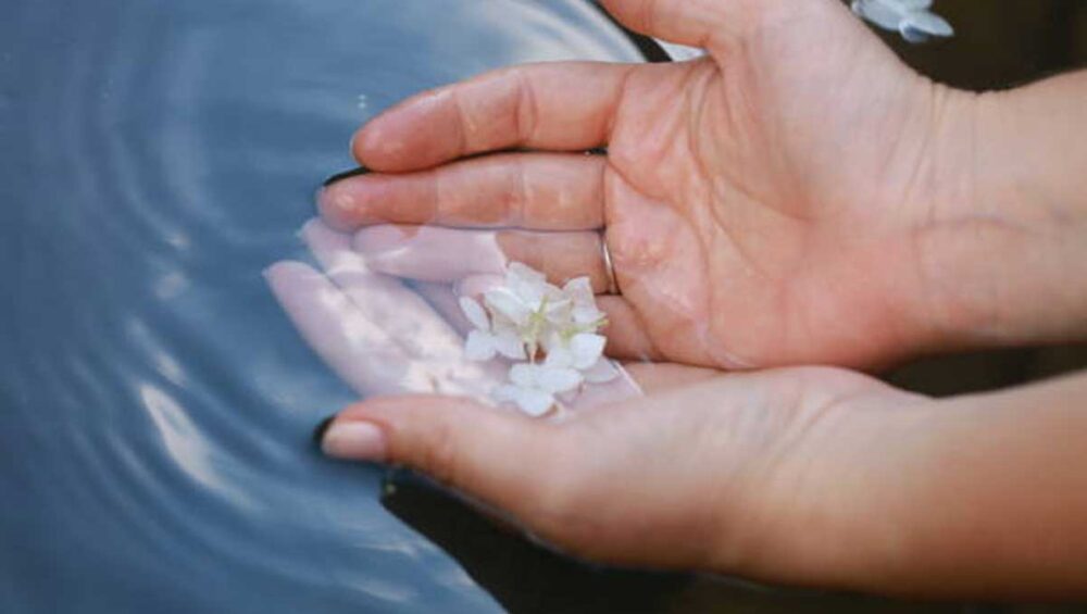 Hands gently holding white flowers over calm water, symbolizing mindfulness and letting go.