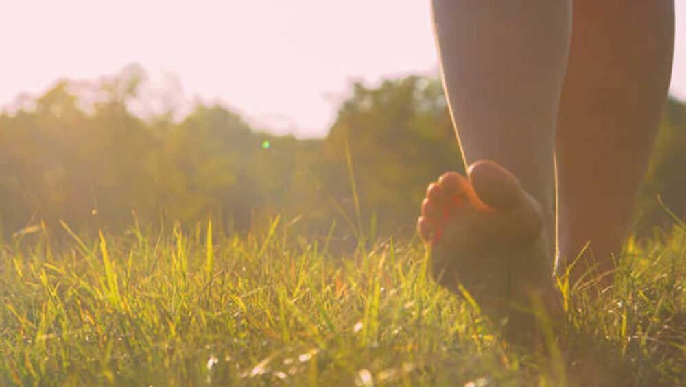 Barefoot grounding on dewy grass at sunrise for calm and balance