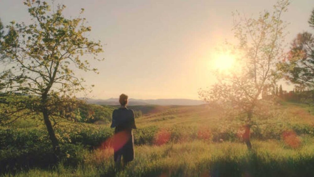 Person standing in a sunlit field at sunset, symbolizing intuition, emotional sensitivity, and the peaceful inner world of an empath.