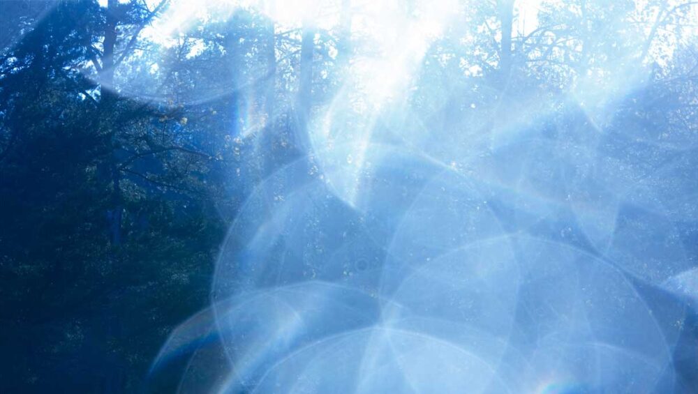 soft blue abstract light over forest representing drifting into daydreams