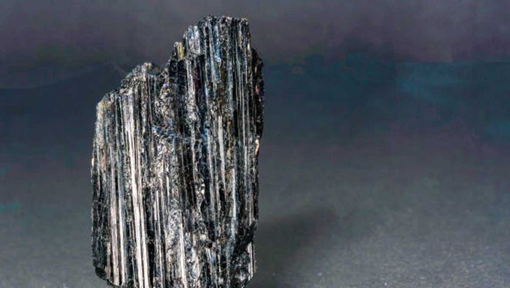 Raw black tourmaline crystal standing upright on a dark neutral background