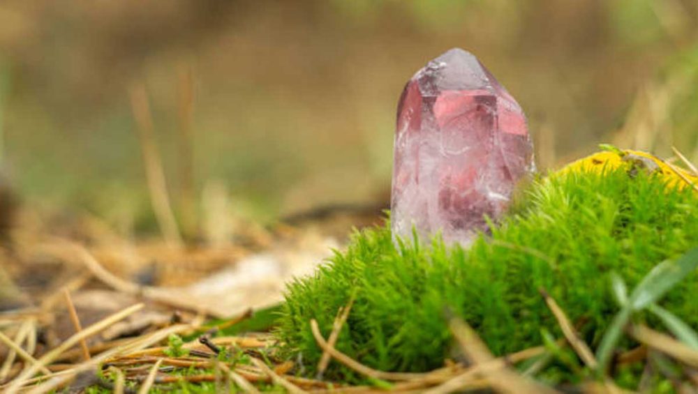 Pink crystal point standing upright on green moss outdoors with blurred natural background.