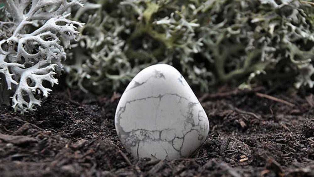 Polished white howlite stone with gray veining resting on dark soil surrounded by soft greenery.