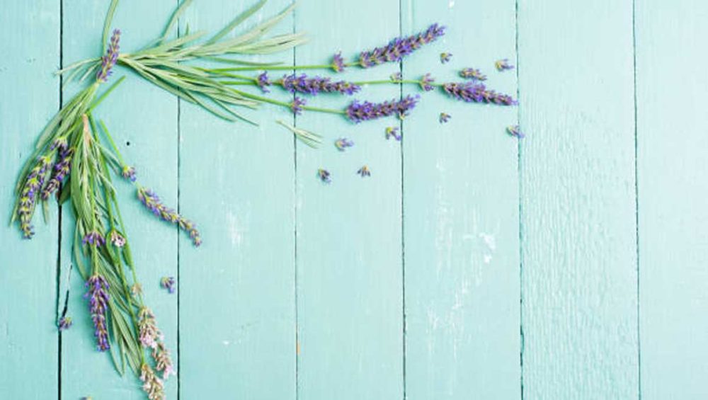 lavender sprigs resting on a turquoise wooden surface