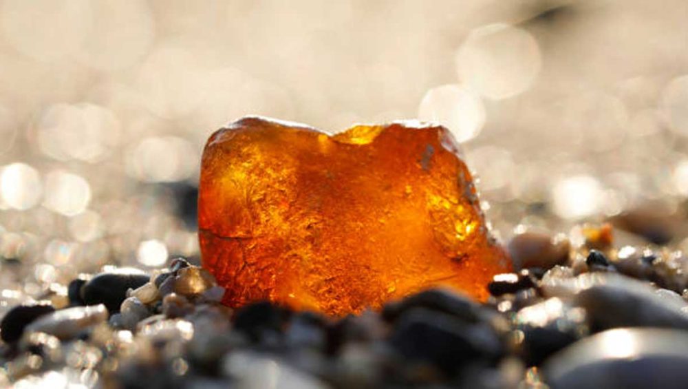 raw amber stone glowing in sunlight on a pebbled beach