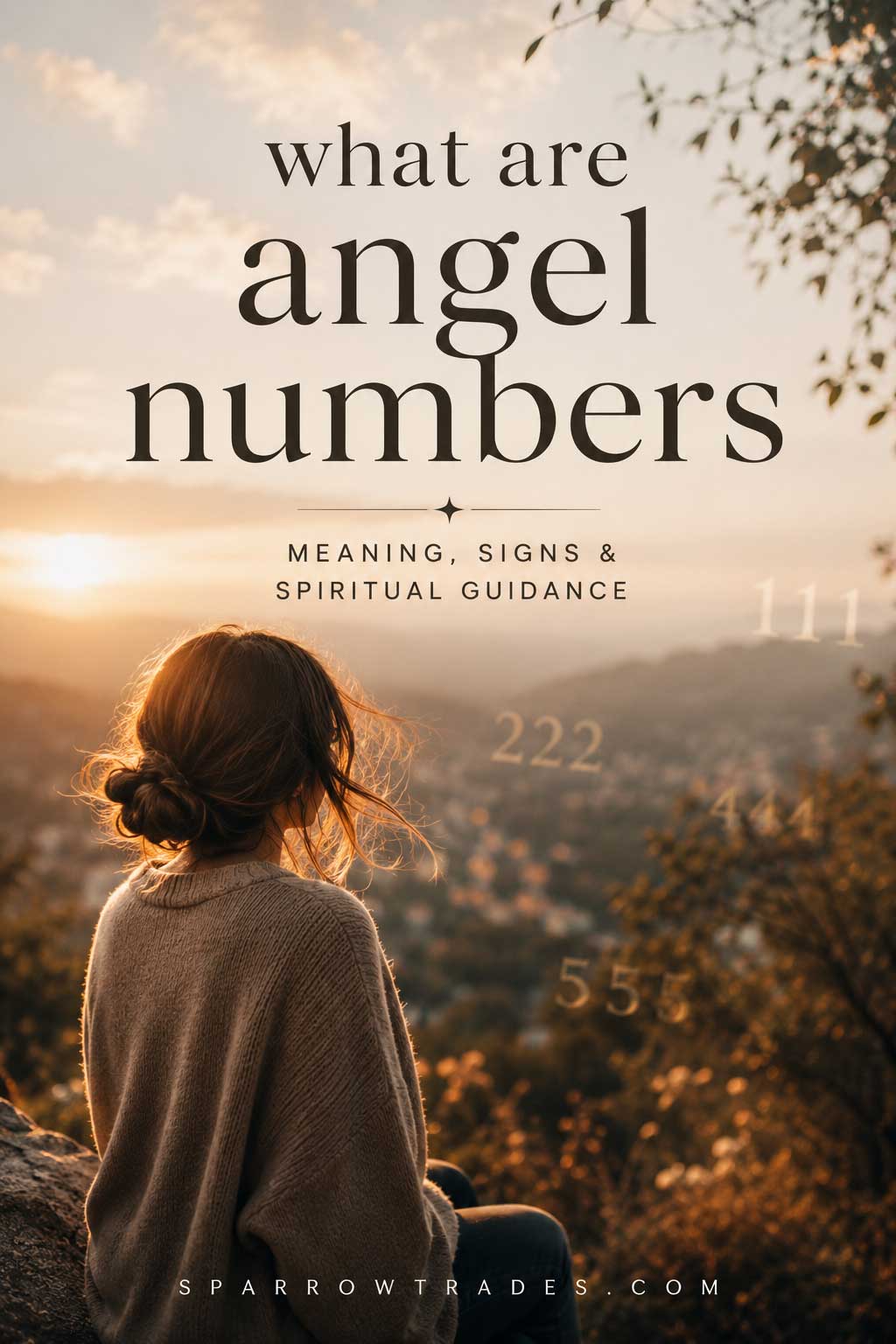 Person sitting outdoors at sunset overlooking a valley with subtle repeating number patterns and text about angel numbers